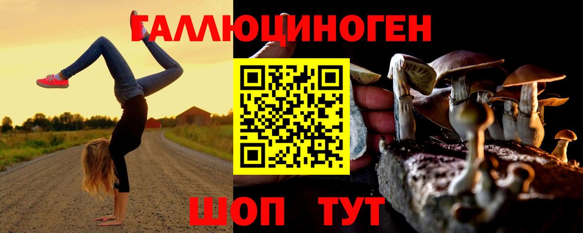 Евпатория  Псилоцибиновые грибы Psilocybe  Вход с VPN 